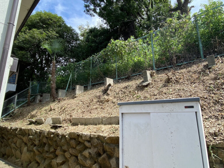 寝屋川市　草刈　伐採作業